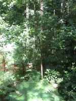 151-5176_IMG.JPG (513622 bytes)