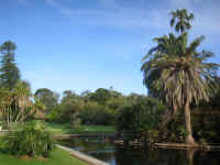 155-5544_IMG.JPG (95099 bytes)