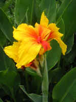 157-5744_IMG.JPG (78792 bytes)